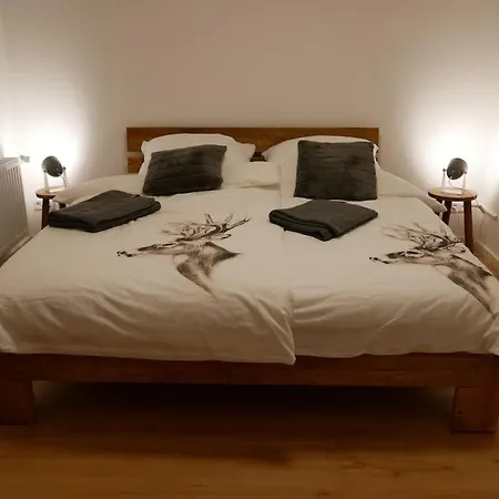 Berglodge Harz Mit 40m² Sonnenterrasse Apartment