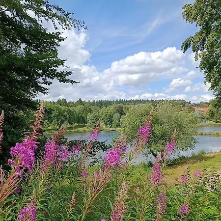 Berglodge Harz Mit 40m² Sonnenterrasse * Goslar