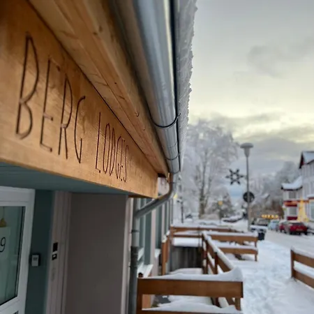 Berglodge Harz Mit 40m² Sonnenterrasse Lejlighed Goslar