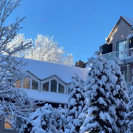 Lejlighed Berglodge Harz Mit 40m² Sonnenterrasse