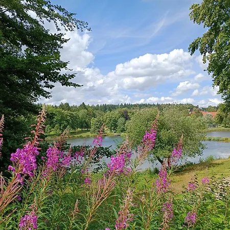 Lejlighed Berglodge Harz Mit 40m² Sonnenterrasse Goslar
