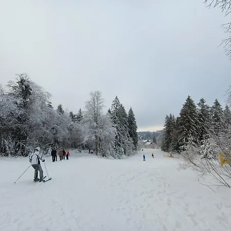 Berglodge Harz Mit 40m² Sonnenterrasse